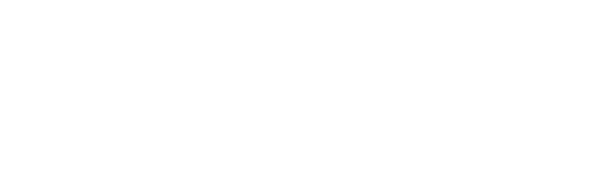 TechEase Solutions